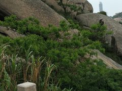 -洋山深水港