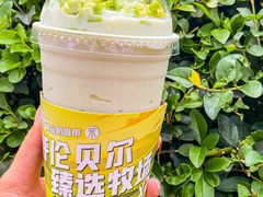 -茉酸奶(春熙路店)
