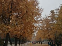 -辽宁大学(崇山校区)