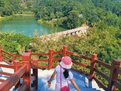 -广州白江湖森林公园