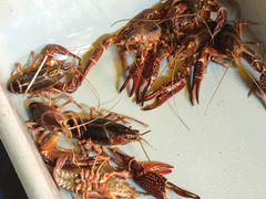 -小田油焖小龙虾(双井店)