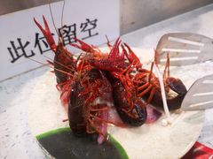 新鲜小龙虾-川锅·火锅·烤肉自助餐厅