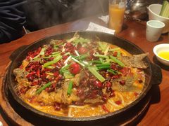 -老板恋上鱼(高新万达店)
