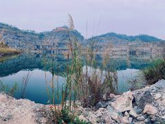 -黄埔油麻山森林公园