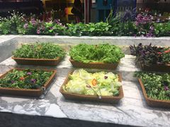 -火锅岛潮牌自助餐厅(天津天佑城店)