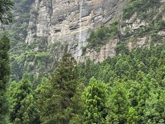 -重庆睡佛山森林公园