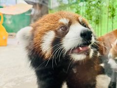 -海合安武汉极地海洋公园