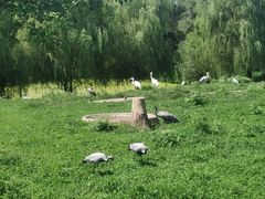 -沈阳森林动物园