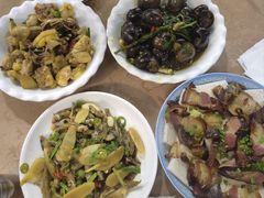 -遇龙河大樟树农家乐