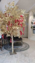 -海茱雅科技健康美容