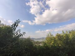 -宝界山林公园