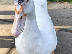 -朝阳公园