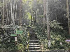 -龙井村