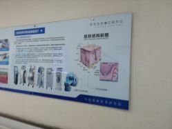 -成都军建医院·疤痕诊疗中心