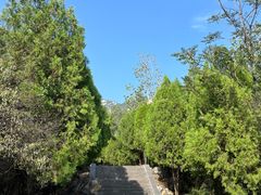 -禅宗少林·音乐大典