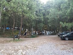 -重庆睡佛山森林公园