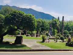 -深圳仙湖植物园