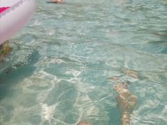 -重庆海昌加勒比海水世界