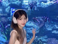 -左海海底世界
