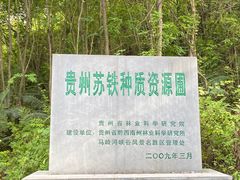-马岭河峡谷风景区