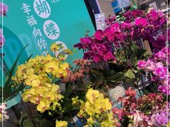 -盒马鲜生(顺义店)