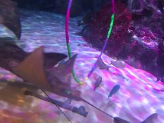 -沈阳海洋探索中心