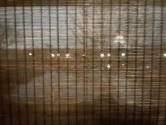-木守西溪溪隐餐厅