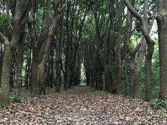 -同里国家湿地公园