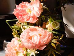 -Metal hands·铁手咖啡