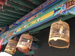 -文瀛公园