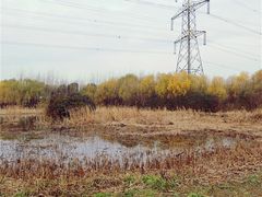 -昆山城市生态森林公园