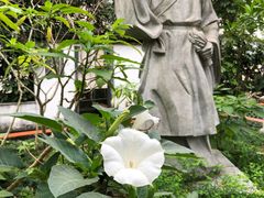 -广州神农草堂中医药博物馆