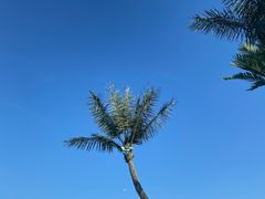 -上海玛雅海滩水公园