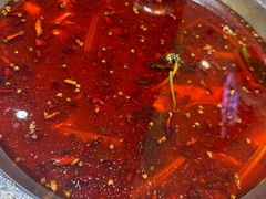 -蛙一刀·麻椒鱼火锅(金仙桥店)