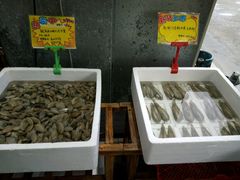 -蚝专家(北滘店)