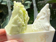-野人先生Gelato(上海长宁龙之梦店)