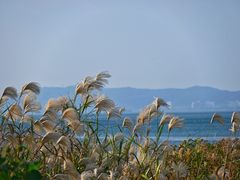 -东山风景区(洞庭东山)