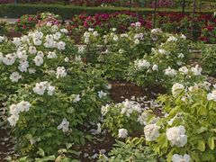 -洛阳市隋唐城遗址植物园