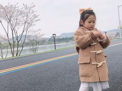 -羊山湖公园