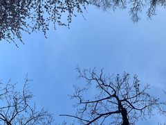 -华山风景名胜区