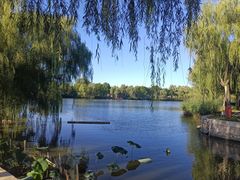 -稻香湖景欢乐岛温泉城堡