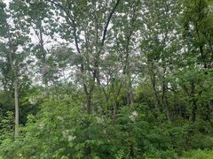 -盘龙城国家考古遗址公园