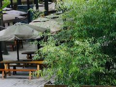 -林间山庄
