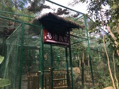-呀诺达热带雨林