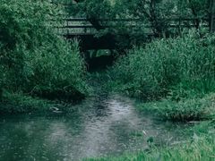 -西湖风景区-江洋畈生态公园