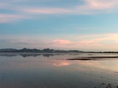 -深圳湾公园(南山区)