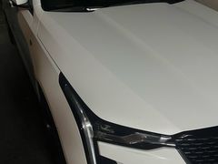 -脉冲品质汽美·贴膜(闵行店)