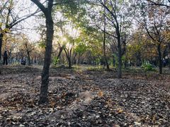 -汉景帝阳陵博物院