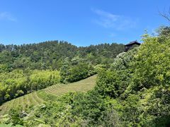 -敬亭山风景名胜区