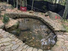 -山沟沟景区